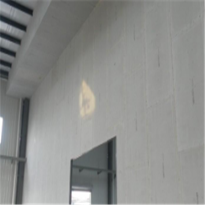 涟源宁波ALC板|EPS加气板隔墙与混凝土整浇联接的实验研讨